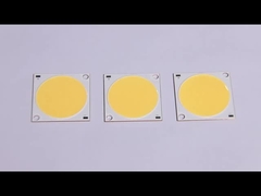 Microprocesadores de la MAZORCA