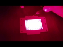 CHIP LED COB 15W LED COB Para Luz de Terapia LED