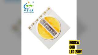 RGBCW COB LED 25W Blanco sintonizable Alta Potencia